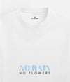 No Rain No Flower