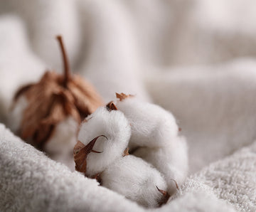 Feel the Softness, Wear the Comfort